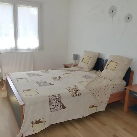 Le Jirani 90m2 Calme Jardin Prive Proche Le Phare Apartment